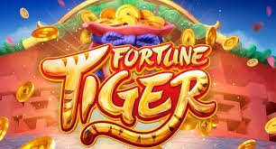 fattnet ကို Myanmar ကစားသမားများ ရွေးချယ်ရသောအကြောင်း VIP Bonus